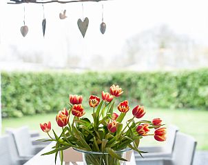 Frische Tulpen auf dem Esstisch in der Patrijzenlaan 5, De Banjaard, Kamperland mit Blick in den Garten.