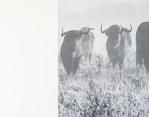 Unterkunft 5903224 - Bungalow Noord-Beveland - Zandbank 07 | De Groote Duynen