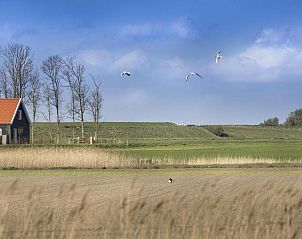 Genieten van het uitzicht bij VZ2302 Boerderijwoning in Kamperland, vakantiehuis met panoramisch uitzicht in Noord-Beveland, Zeeland.