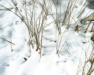 Comfortabele slaapkamer in Duinvallei 19 bungalow, Kamperland, met moderne inrichting