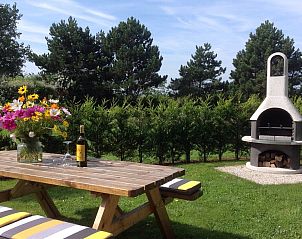 Gezellig terras met barbecue bij Ostrea 16 vakantiehuis, Roompot Beach Resort in Kamperland, Zeeland.