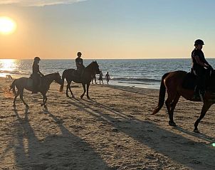 Paardrijden op het strand nabij vakantiehuis Kamperland, een unieke ervaring in Noord-Beveland, Zeeland.