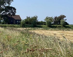 Picturesque view VZ962 Holiday home in Kamperland, surrounded by lush nature in North Beveland, Zeeland.