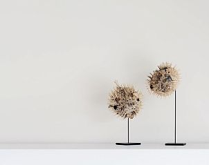 Unterkunft 5903459 - Bungalow Noord-Beveland - Zandbank 16 | De Groote Duynen