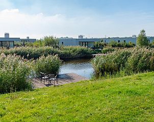 Groen landschap rond Duinvallei 12, vakantieaccommodatie in Kamperland, Zeeland.