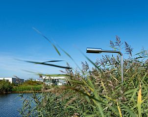Natuurlijke omgeving van Waterlijn 11 | De Groote Duynen, vakantiehuis in Kamperland, Zeeland.