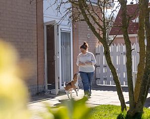 Guest house 590348 - Holiday property Noord-Beveland - Vakantiehuis Duindoorn 9