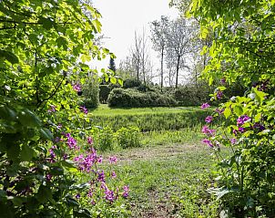 Unterkunft 5903510 - Ferienhaus Noord-Beveland - Zilte Iep