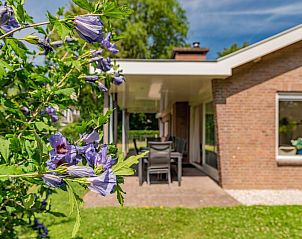 Unterkunft 5903516 - Ferienhaus Noord-Beveland - Duinvink
