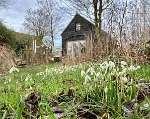 Unterkunft 5903521 - Ferienhaus Noord-Beveland - ZE1735
