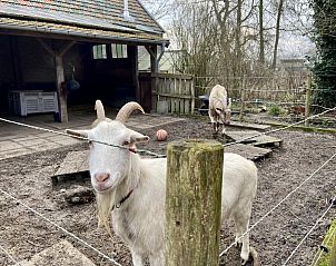 Unterkunft 5903521 - Ferienhaus Noord-Beveland - ZE1735