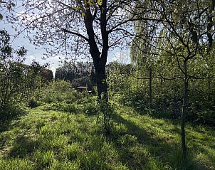 Unterkunft 5903521 - Ferienhaus Noord-Beveland - ZE1735