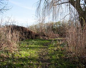 Unterkunft 5903521 - Ferienhaus Noord-Beveland - ZE1735