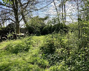 Unterkunft 5903521 - Ferienhaus Noord-Beveland - ZE1735