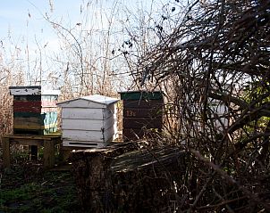 Unterkunft 5903521 - Ferienhaus Noord-Beveland - ZE1735