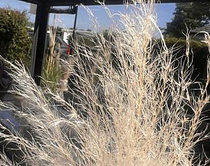 Unterkunft 5903529 - Ferienhaus Noord-Beveland - Vakantiehuis RBR 852 - Beach Resort Kamperland