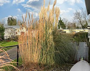 Guest house 5903551 - Holiday property Noord-Beveland - Vakantiehuis RBR 1342 - Beach Resort Kamperland