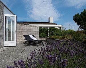 Guest house 5903591 - Holiday property Noord-Beveland - Ostrea 33 | Roompot Beach Resort