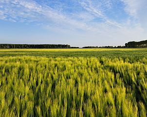 Guest house 590516 - Holiday property Noord-Beveland - ZE1511