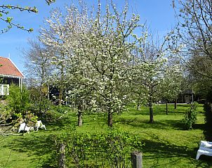 Guest house 590516 - Holiday property Noord-Beveland - ZE1511