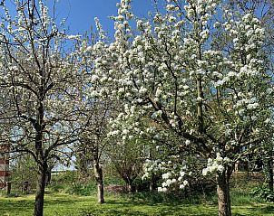 Guest house 590516 - Holiday property Noord-Beveland - ZE1511