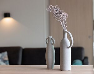 Guest house 600106 - Holiday property Schouwen-Duiveland - Wellness Lodge 4