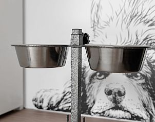 Guest house 600107 - Holiday property Schouwen-Duiveland - Pets Lodge 4