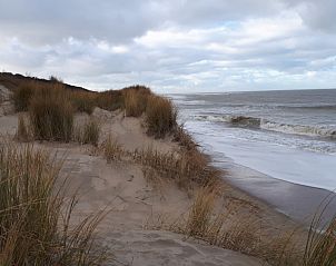 Guest house 6001109 - Holiday property Schouwen-Duiveland - Strand 97