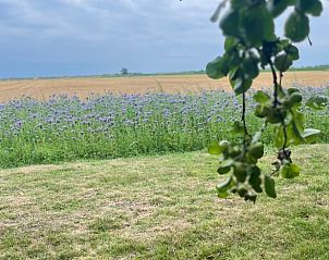 Guest house 600311 - Holiday property Schouwen-Duiveland - Vakantiehuis in Zierikzee