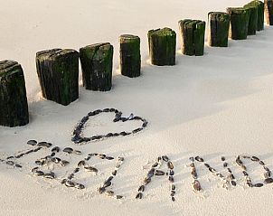 Unterkunft 6004156 - Ferienhaus Schouwen-Duiveland - Schouwse Stee 14