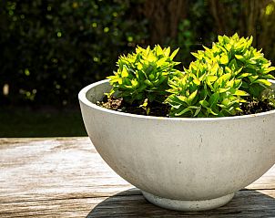 Unterkunft 600416 - Ferienhaus Schouwen-Duiveland - Vakantievilla Paardenbos 5