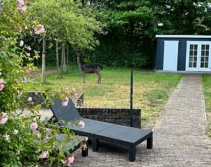 Guest house 600417 - Holiday property Schouwen-Duiveland - Vakantiewoning Schouwse Duin 13