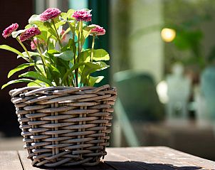 Unterkunft 600422 - Ferienhaus Schouwen-Duiveland - Vakantiewoning Zeepe Duinen 17, "De Kreeft"