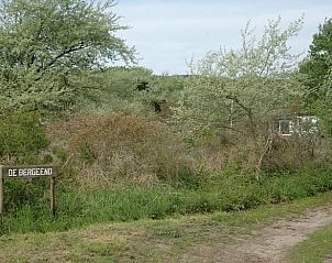 Guest house 600426 - Holiday property Schouwen-Duiveland - Huisje in Burgh-Haamstede