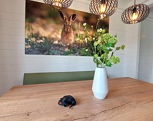 Unterkunft 600435 - Ferienhaus Schouwen-Duiveland - Vakantiehuis in Burgh-Haamstede