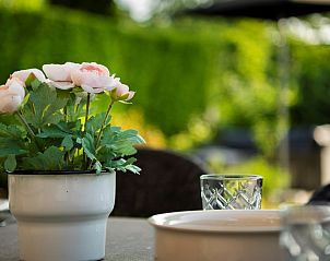 Unterkunft 600492 - Ferienhaus Schouwen-Duiveland - Vakantiewoning Zeepe Duinen 7 "Het Zeepaardje"