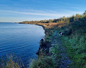 Guest house 600613 - Holiday property Schouwen-Duiveland - VZ2314 Vakantiechalet in Bruinisse