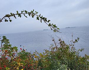 Guest house 600613 - Holiday property Schouwen-Duiveland - VZ2314 Vakantiechalet in Bruinisse