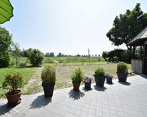 Guest house 600614 - Holiday property Schouwen-Duiveland - Farmer's View