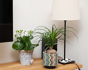 Guest house 600709 - Holiday property Schouwen-Duiveland - Vakantiehuis Zonparel