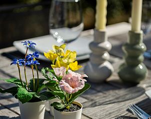 Detail van kleurrijke bloemen op de eettafel in Vakantiehuis Zonnedorp 1, Solskin in Renesse.