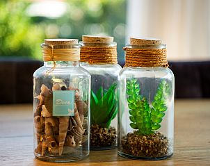 Decoratieve glazen potten met schelpen en planten in Vakantiehuis Zonnedorp 1, Solskin in Renesse.