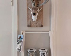 Guest house 6007176 - Bungalow Schouwen-Duiveland - De Garnaal