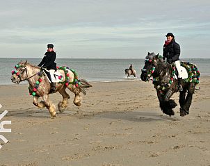 Guest house 600718 - Holiday property Schouwen-Duiveland - ZE1184