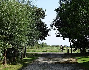 Fresh grapes and jam at VZ891 Holiday home in Renesse, Schouwen-Duiveland, Zeeland.