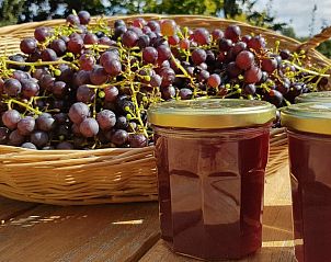 Chickens in the garden of VZ891 Holiday home in Renesse, Schouwen-Duiveland, Zeeland.