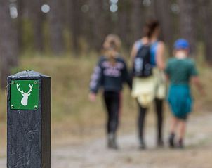 Unterkunft 6007210 - Ferienhaus Schouwen-Duiveland - Vakantiehuis Duinzicht Renesse