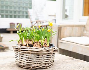 Blumenkorb auf dem Tisch im Garten des Ferienhauses Horizon by the Sea, Renesse, bringt Farbe ins Spiel.