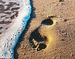 Detail des stimmungsvoll gedeckten Tisches im Ferienhaus Horizon 95 in Renesse, mit Wein und Glsern.