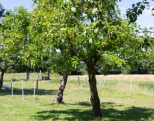 Guest house 600727 - Holiday property Schouwen-Duiveland - Vakantiehuisje in Renesse